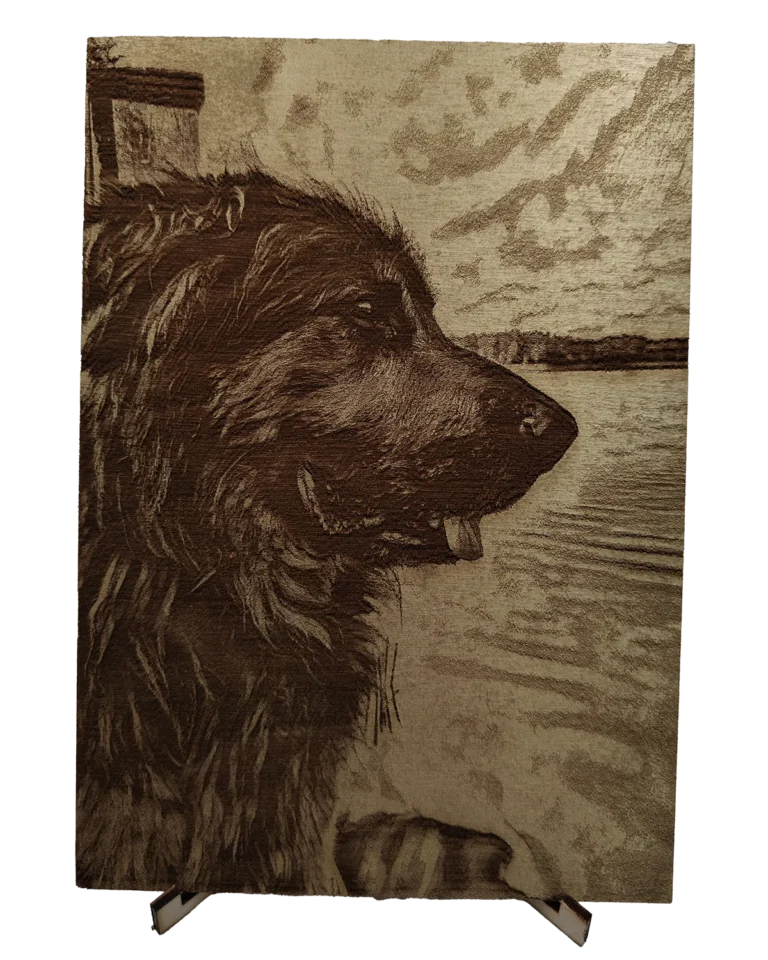 img20251214142248 web