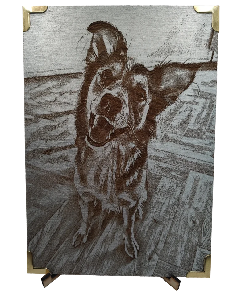 img20251221170932 web