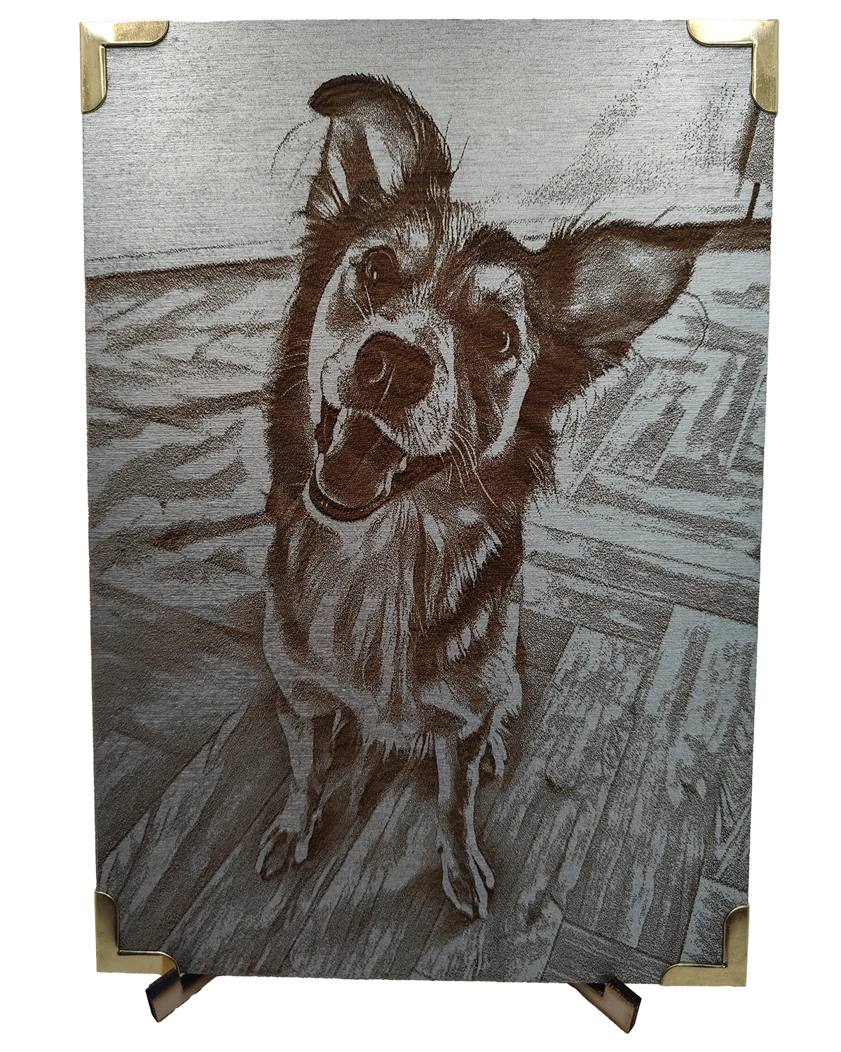 img20251221170932 web